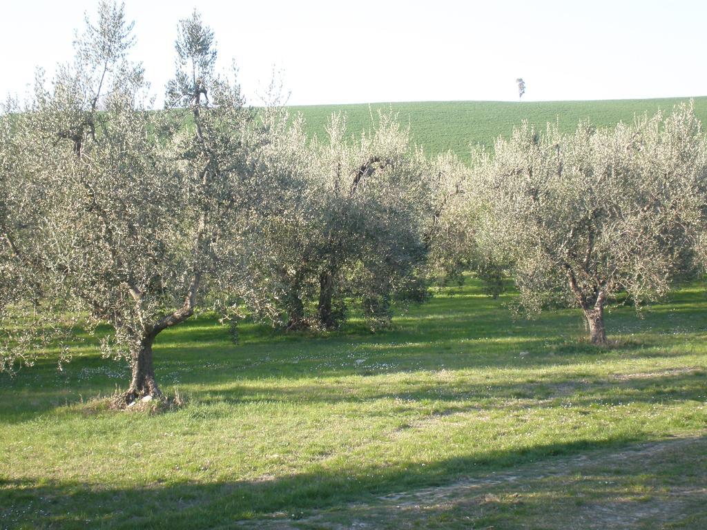 Locanda La Gozzetta Santa Luce Εξωτερικό φωτογραφία